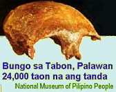 Tabon Skull