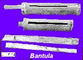 Bantula